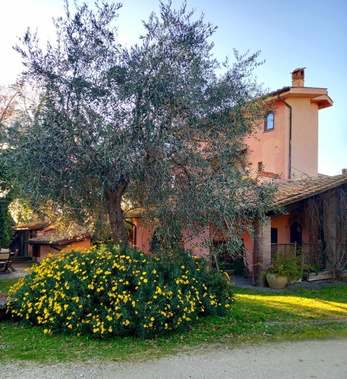 La Chiesuola Bagnaia (Viterbo) Exterior foto